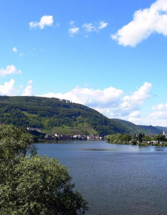 Panorama-Cafe Moselgarten Alf Bagian luar foto
