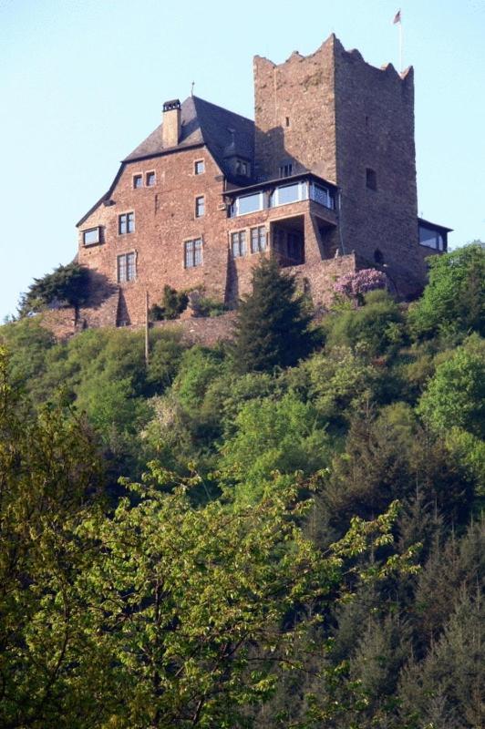 Panorama-Cafe Moselgarten Alf Bagian luar foto