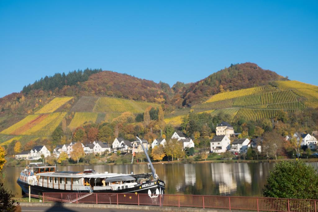 Panorama-Cafe Moselgarten Alf Bagian luar foto